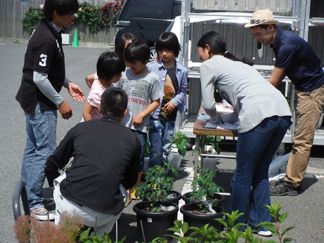 20140524ﾌﾟﾗﾝﾀｰ配布