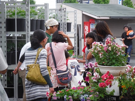 20150516プランター