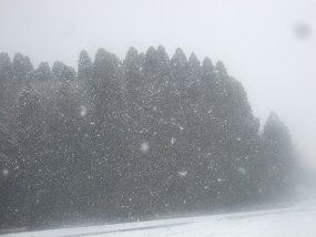 20160220雪の日