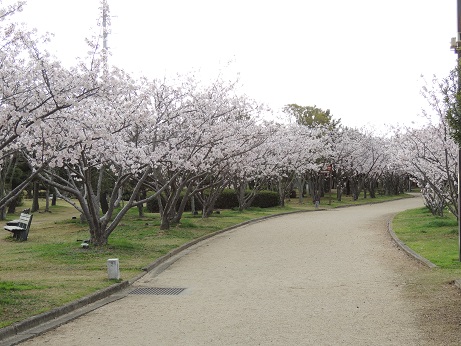 20160406運動公園