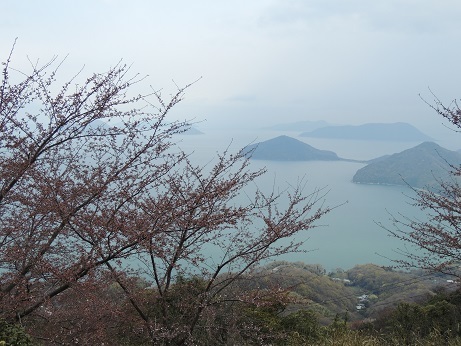 20190407 紫雲出山