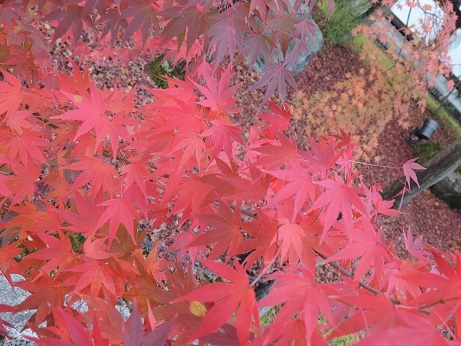 20191208 永観寺